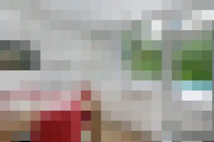 van Rijckevorsellaan 36 Moergestel thumbnail 10