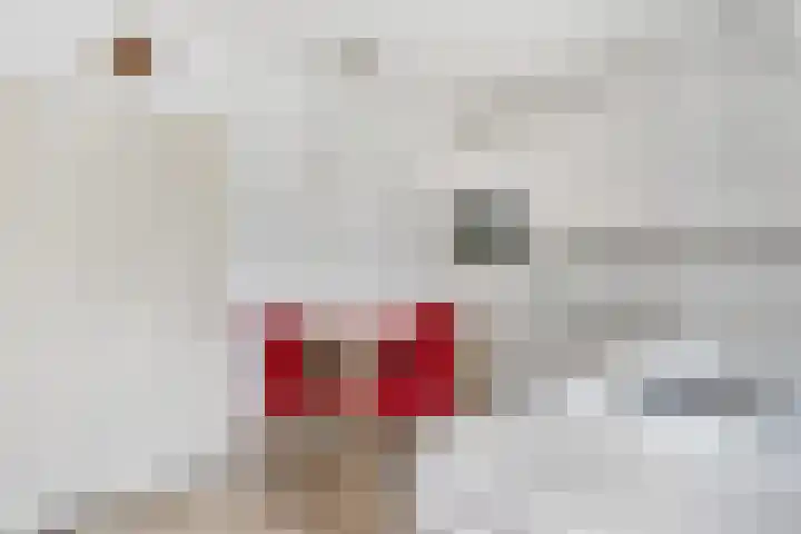 van Rijckevorsellaan 36 Moergestel thumbnail 11