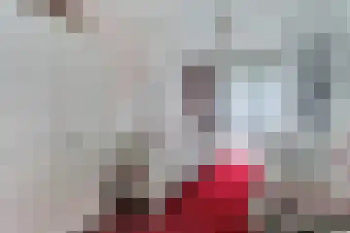 van Rijckevorsellaan 36 Moergestel thumbnail 14