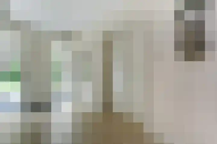 van Rijckevorsellaan 36 Moergestel thumbnail 15