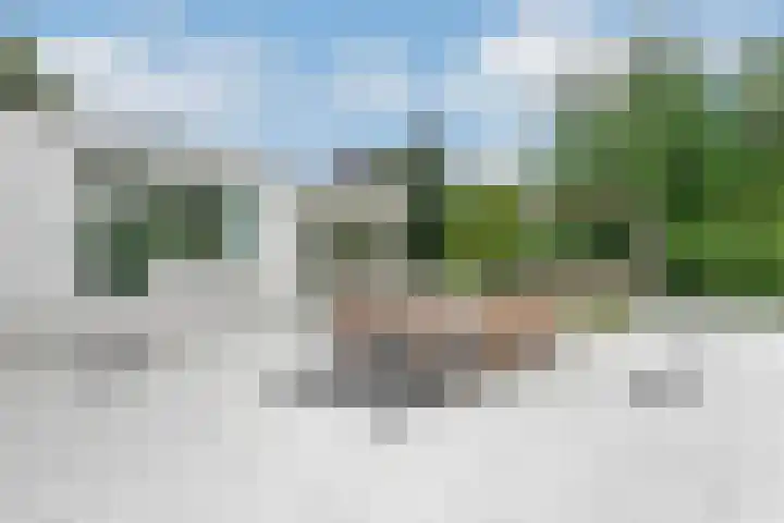 van Rijckevorsellaan 36 Moergestel thumbnail 18