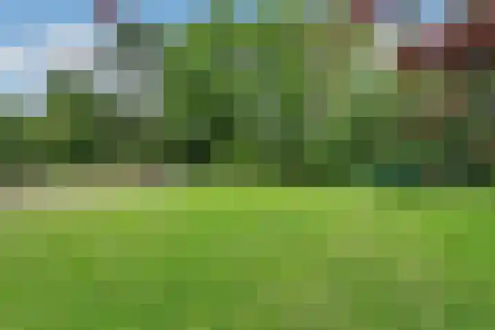 van Rijckevorsellaan 36 Moergestel thumbnail 19