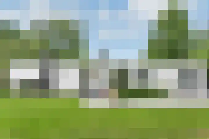 van Rijckevorsellaan 36 Moergestel foto 2