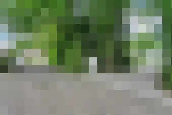 van Rijckevorsellaan 36 Moergestel thumbnail 20