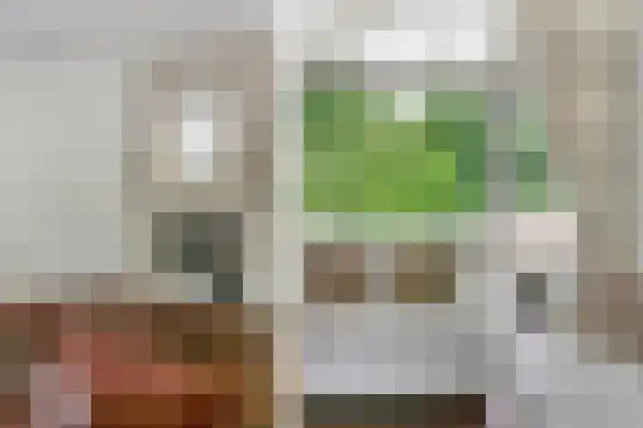 van Rijckevorsellaan 36 Moergestel thumbnail 6