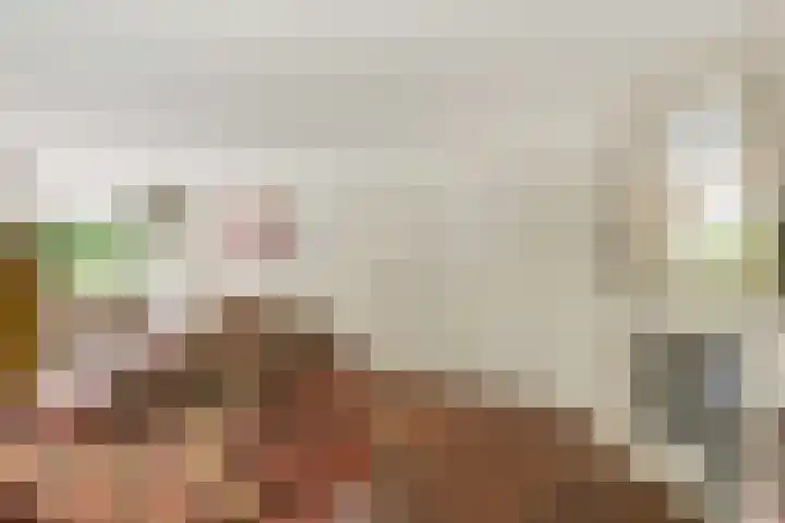 van Rijckevorsellaan 36 Moergestel thumbnail 7