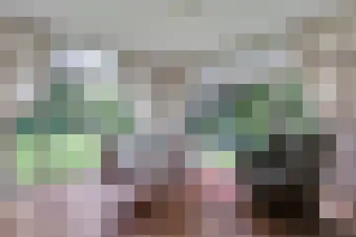 van Rijckevorsellaan 36 Moergestel thumbnail 8