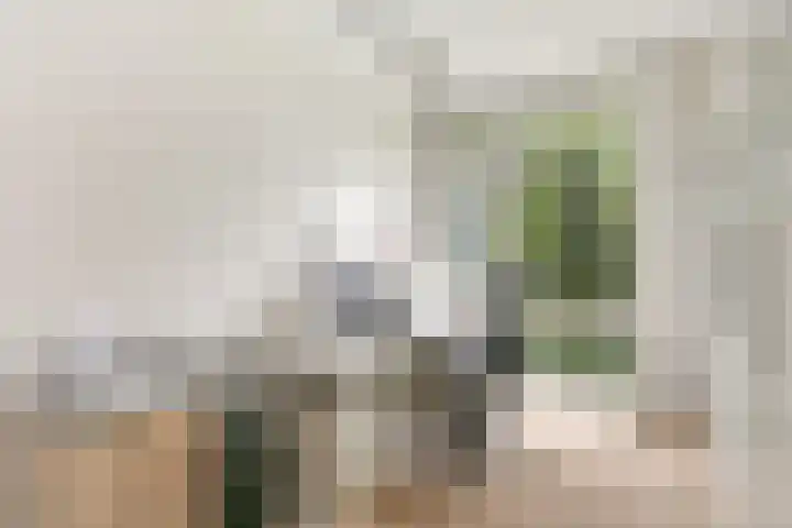 van Rijckevorsellaan 36 Moergestel thumbnail 9