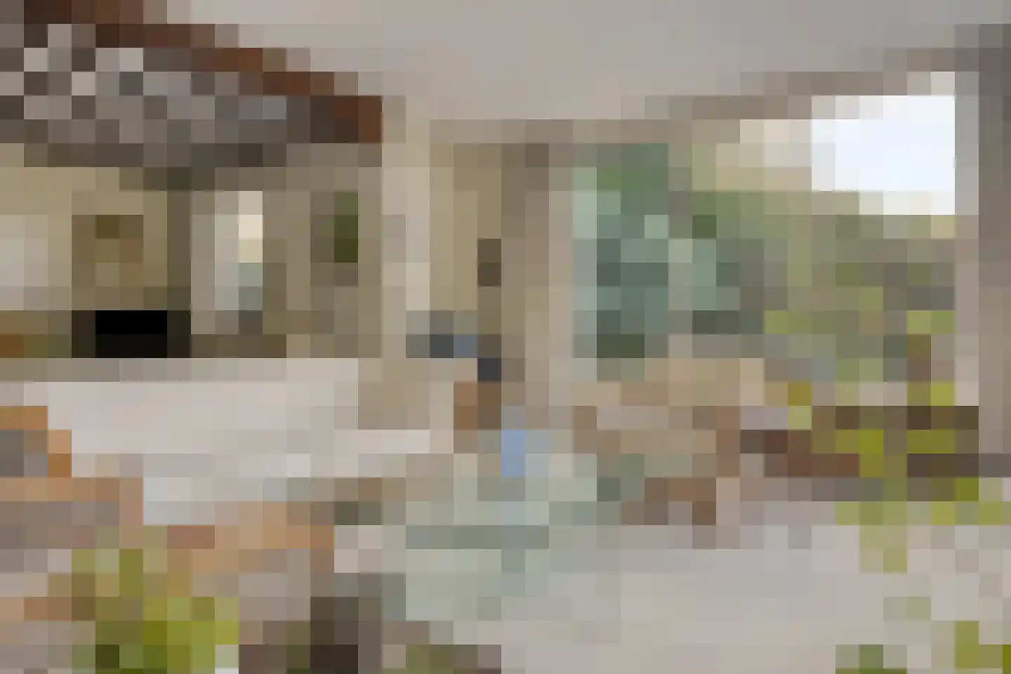 van Rijckevorsellaan 38 Moergestel thumbnail 12