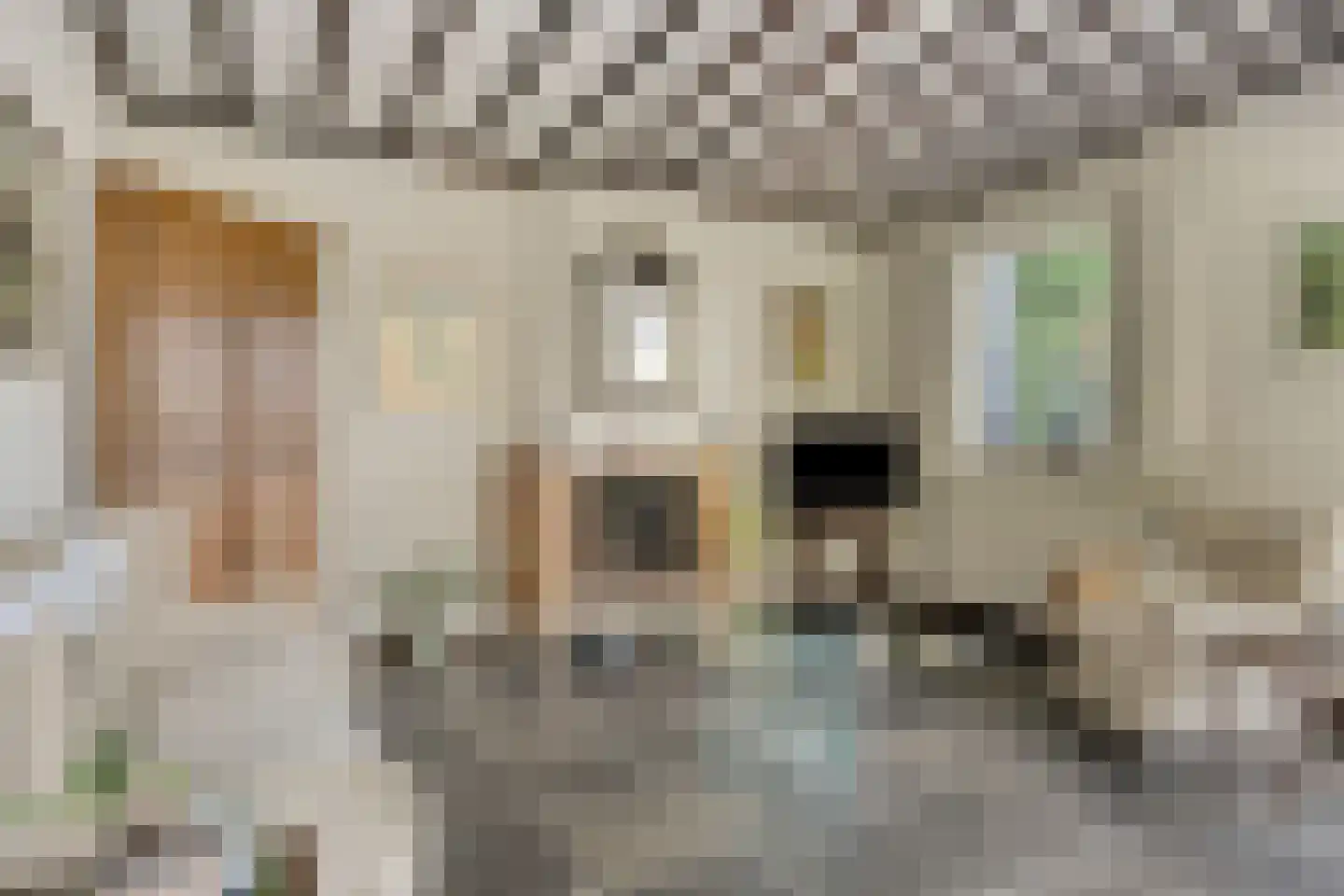 van Rijckevorsellaan 38 Moergestel thumbnail 13