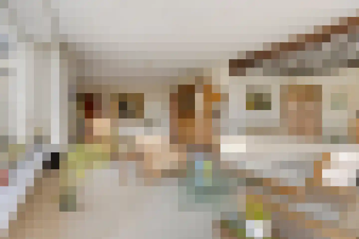 van Rijckevorsellaan 38 Moergestel thumbnail 17