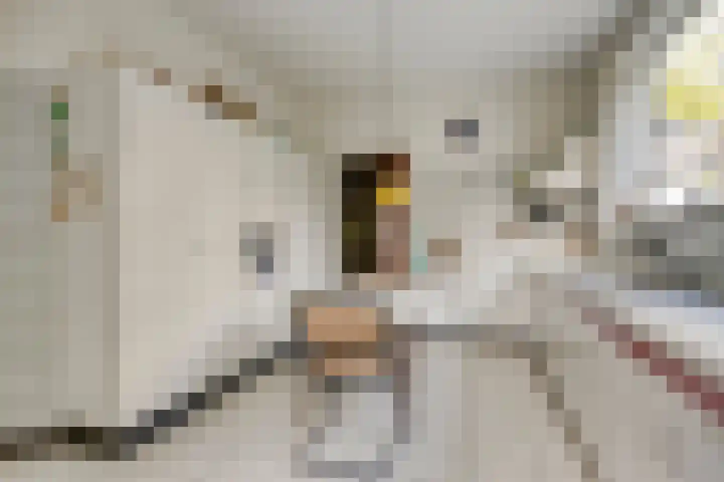 van Rijckevorsellaan 38 Moergestel thumbnail 20