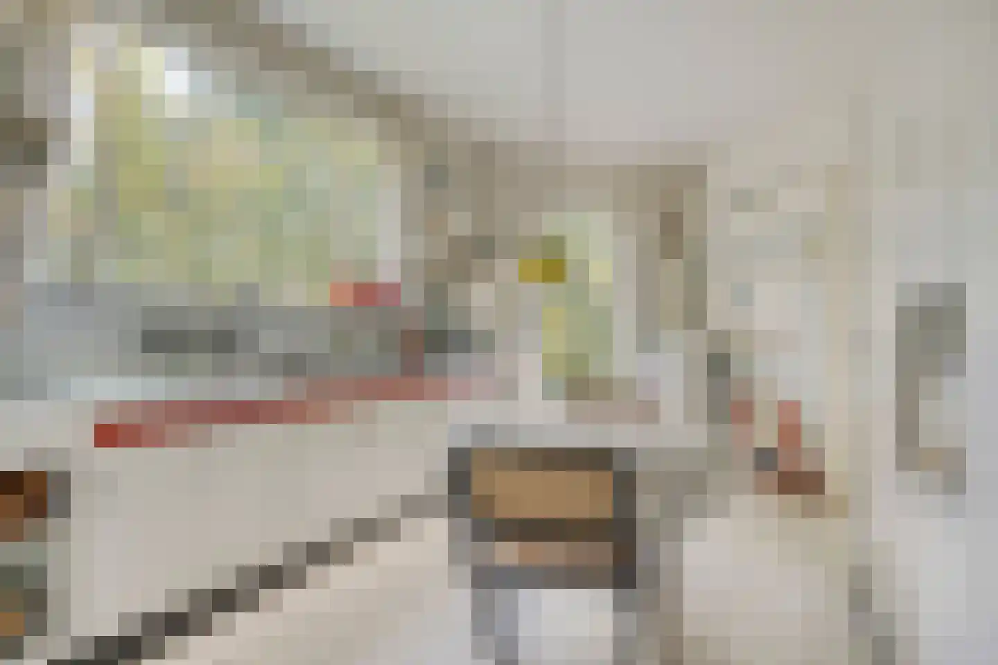 van Rijckevorsellaan 38 Moergestel thumbnail 21