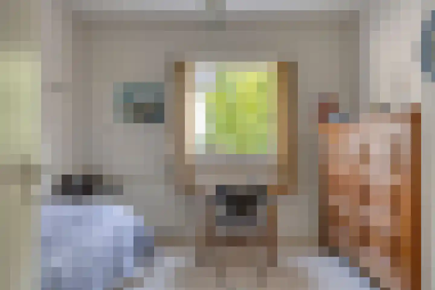 van Rijckevorsellaan 38 Moergestel thumbnail 27