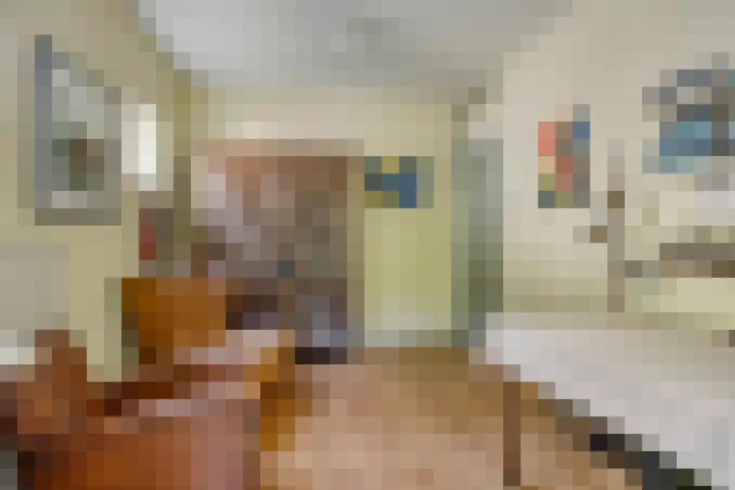 van Rijckevorsellaan 38 Moergestel thumbnail 32