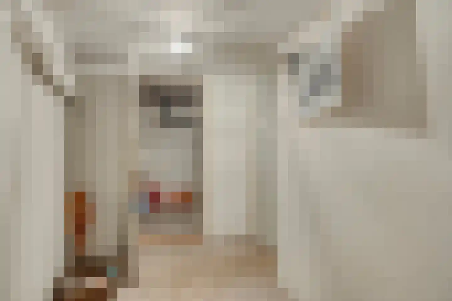 van Rijckevorsellaan 38 Moergestel thumbnail 33