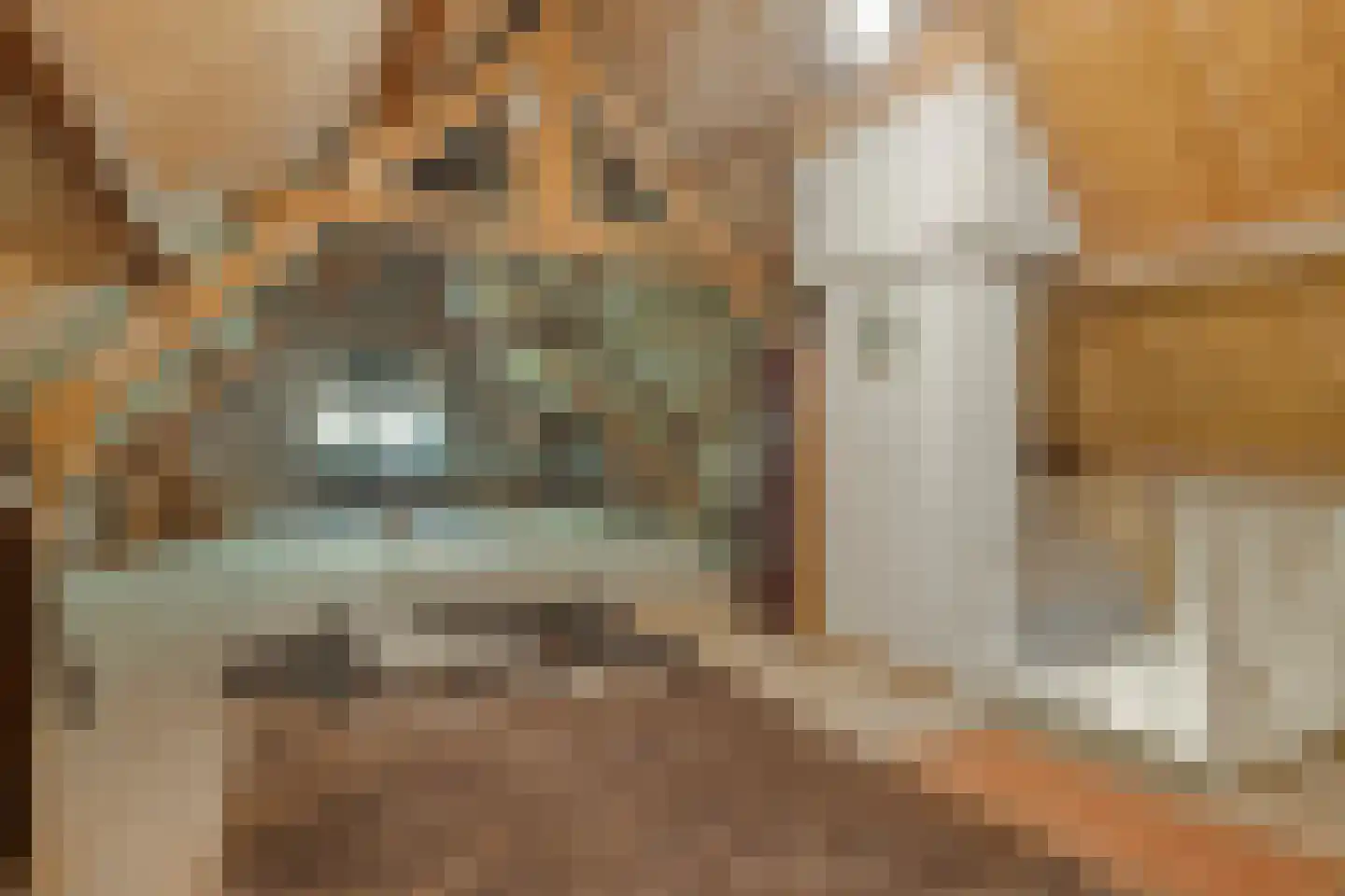 van Rijckevorsellaan 38 Moergestel thumbnail 35
