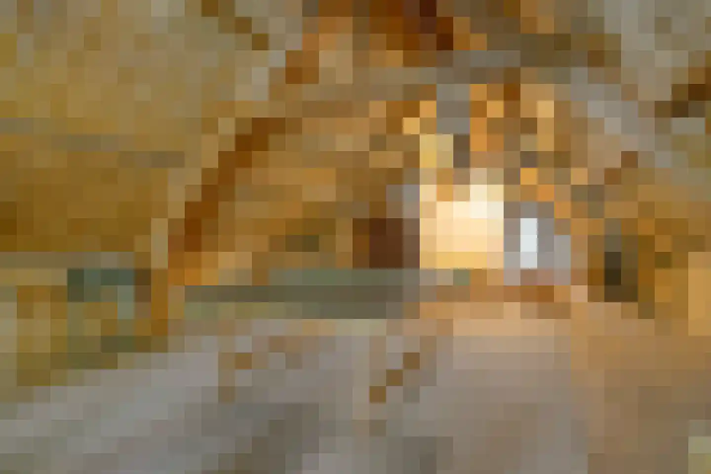 van Rijckevorsellaan 38 Moergestel thumbnail 37