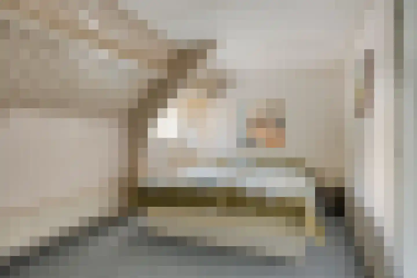 van Rijckevorsellaan 38 Moergestel thumbnail 41