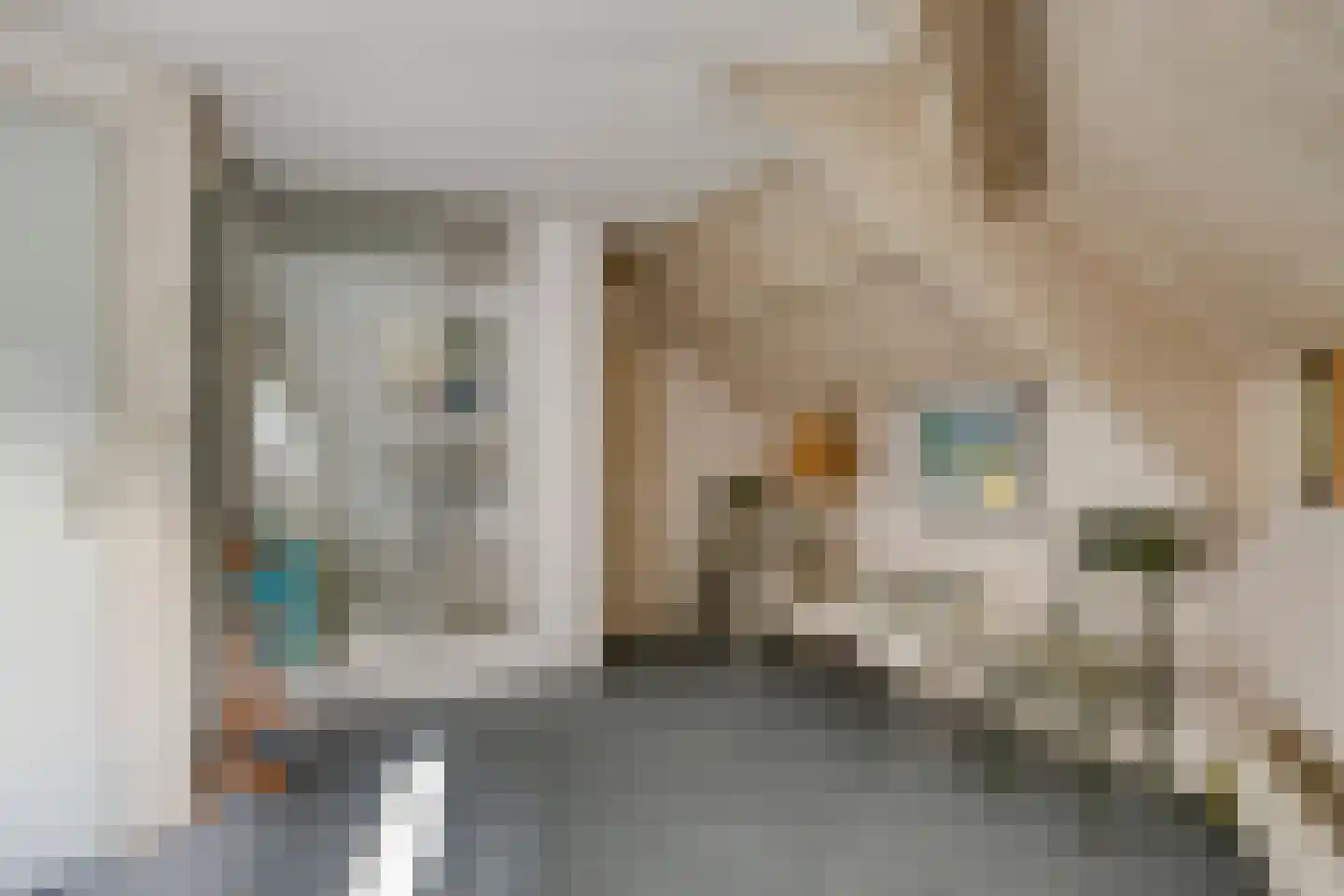 van Rijckevorsellaan 38 Moergestel thumbnail 42
