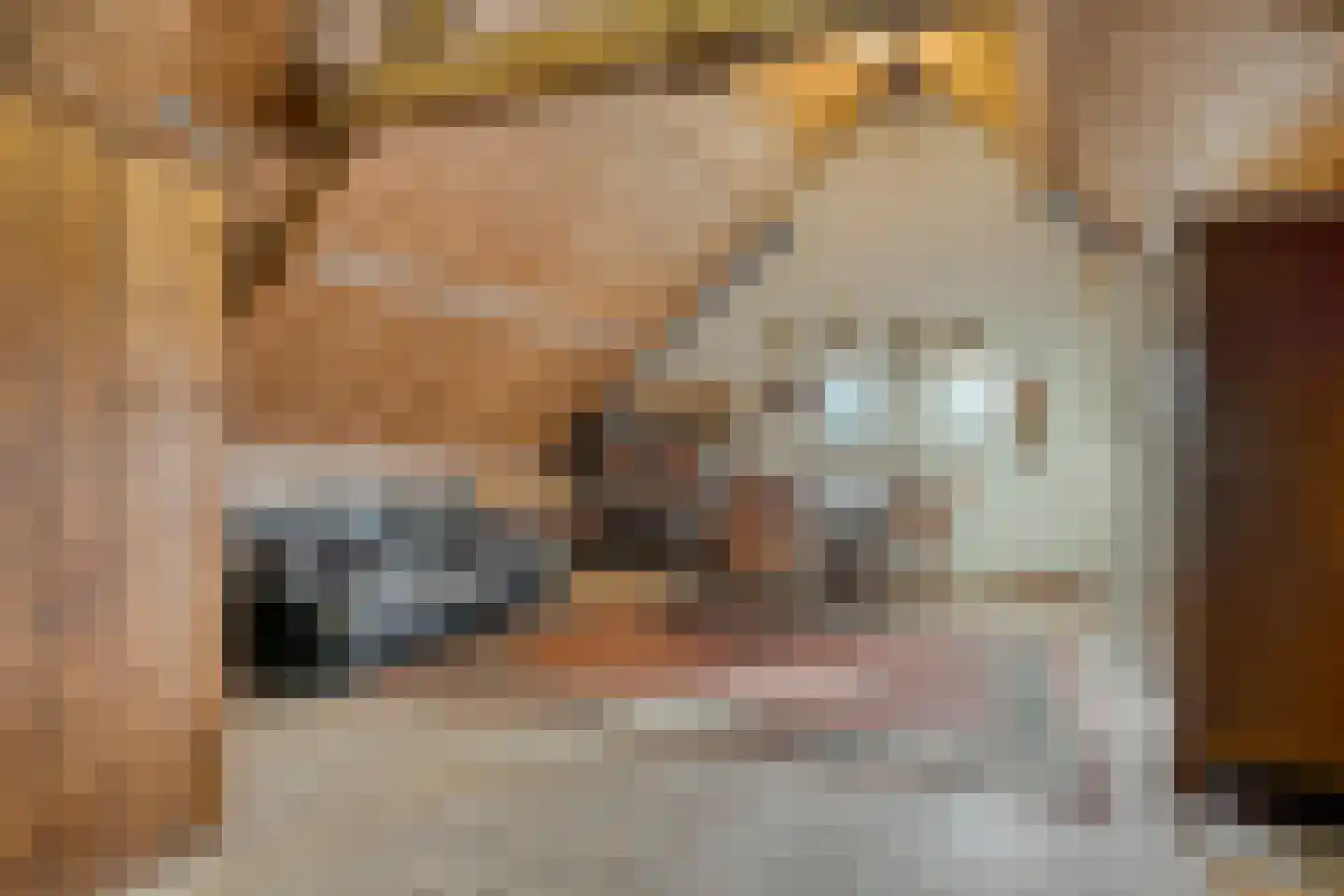 van Rijckevorsellaan 38 Moergestel thumbnail 43