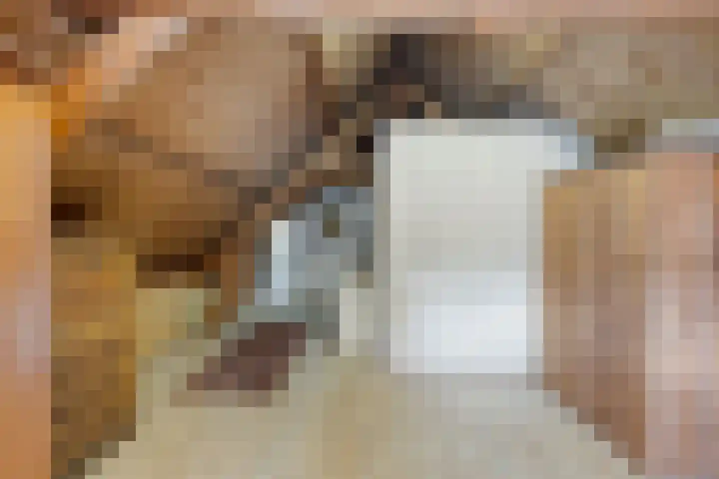 van Rijckevorsellaan 38 Moergestel thumbnail 44