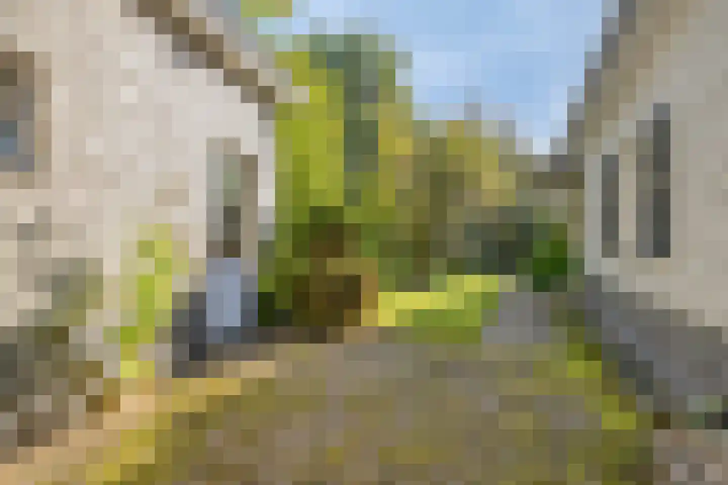van Rijckevorsellaan 38 Moergestel thumbnail 45