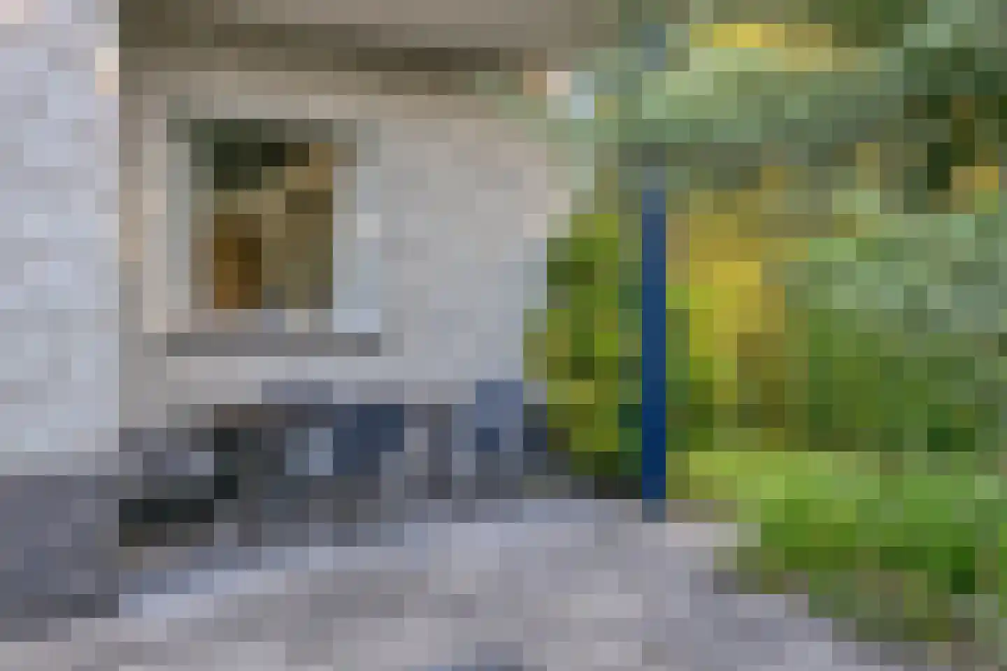 van Rijckevorsellaan 38 Moergestel thumbnail 50