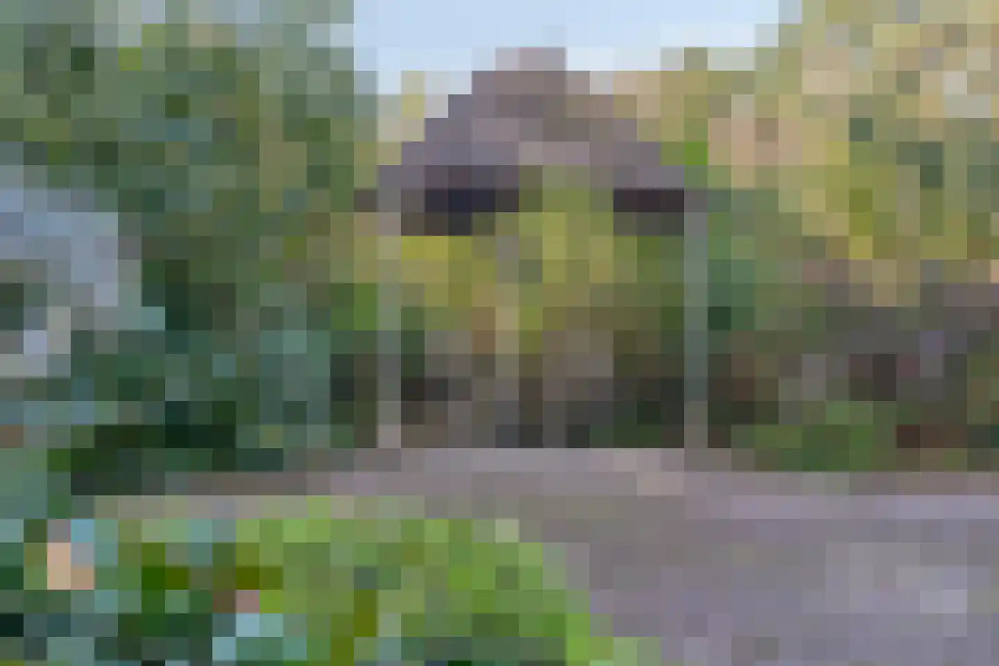 van Rijckevorsellaan 38 Moergestel thumbnail 52