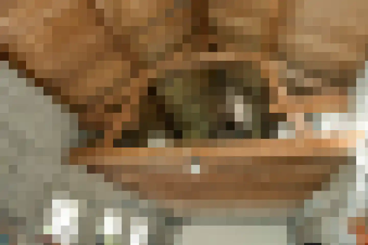 van Rijckevorsellaan 38 Moergestel thumbnail 59