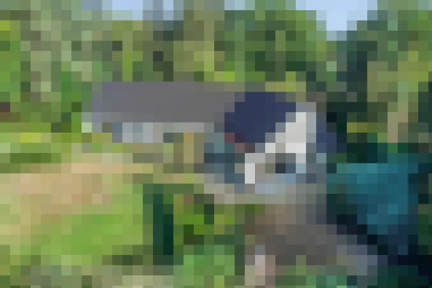 van Rijckevorsellaan 38 Moergestel thumbnail 62