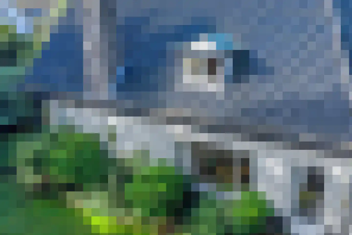 van Rijckevorsellaan 38 Moergestel thumbnail 64