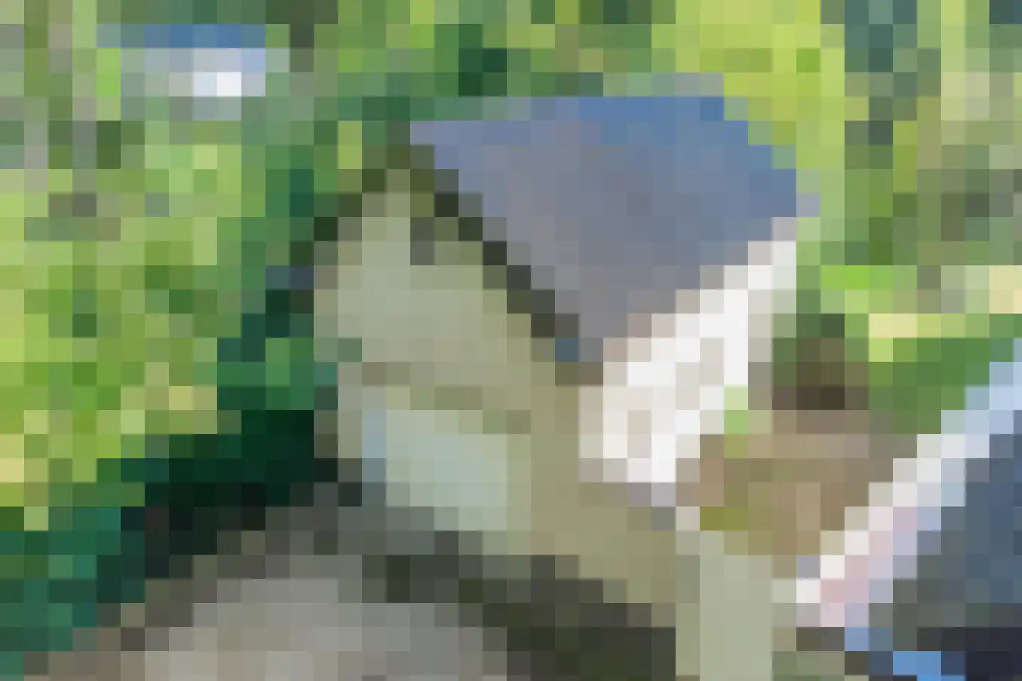 van Rijckevorsellaan 38 Moergestel thumbnail 66