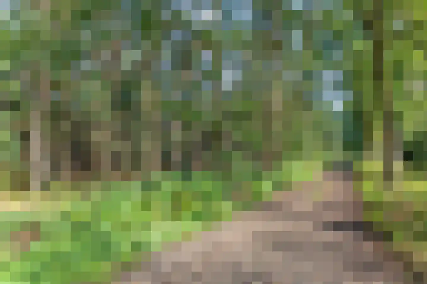 van Rijckevorsellaan 38 Moergestel thumbnail 70