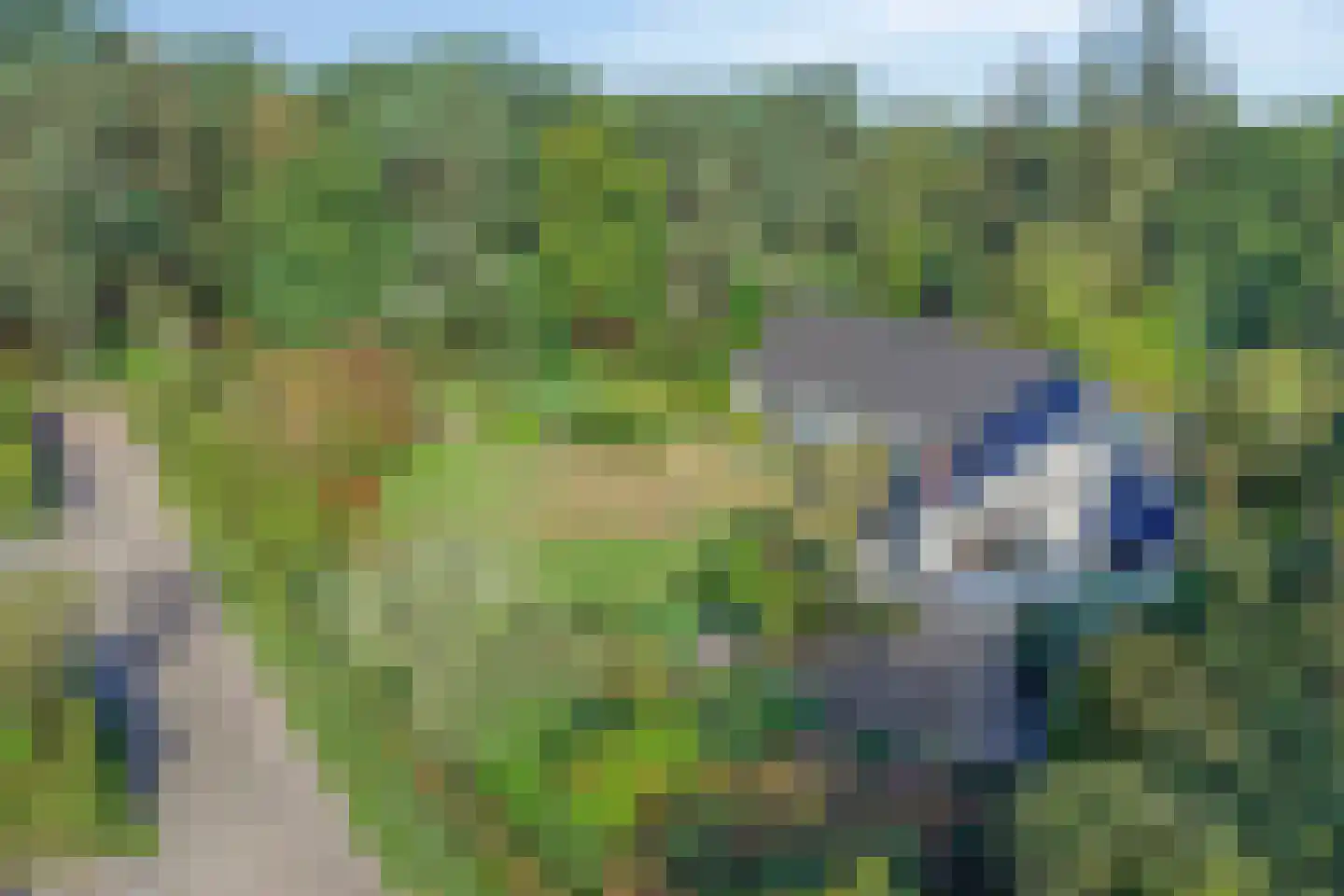 van Rijckevorsellaan 38 Moergestel thumbnail 72