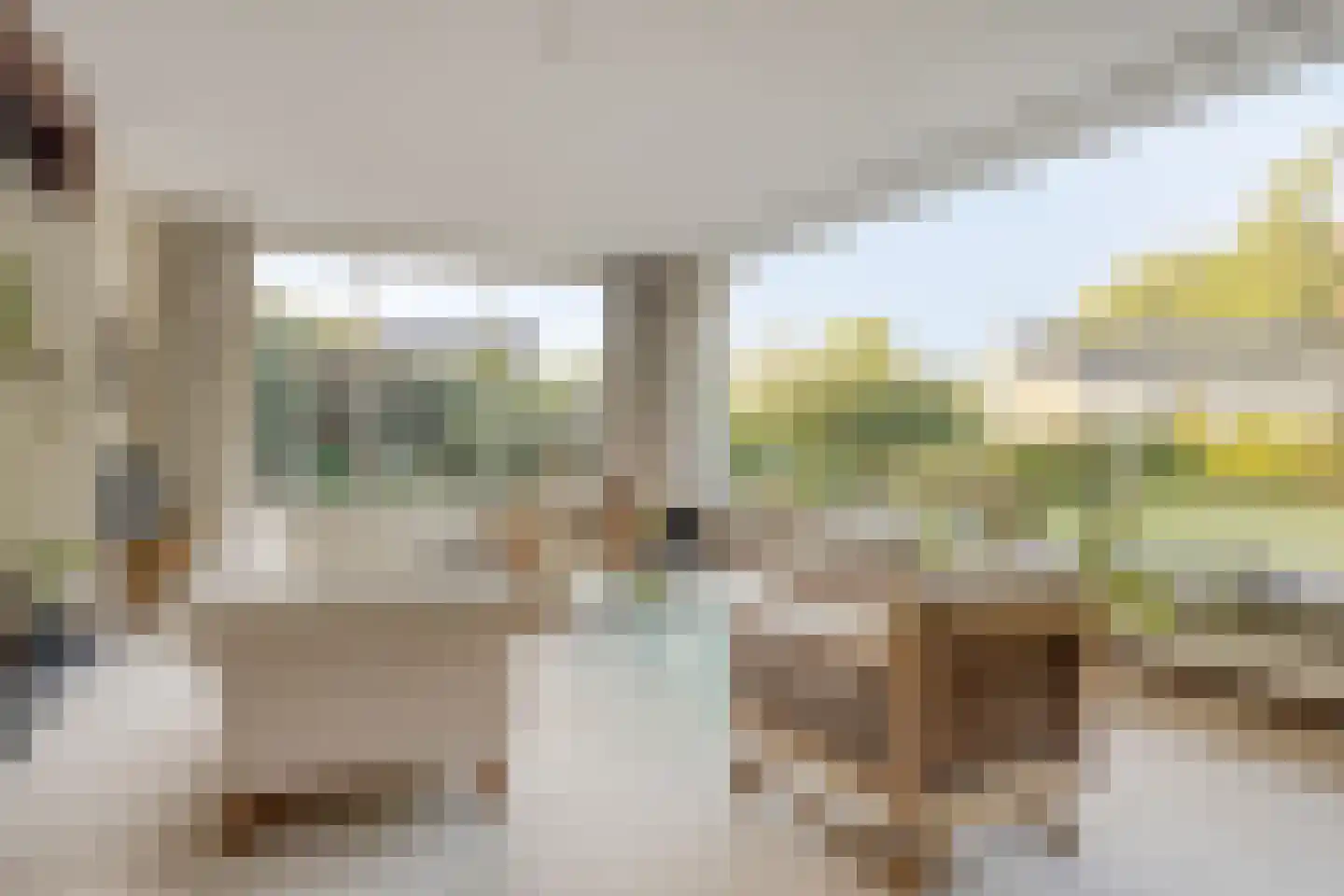 van Rijckevorsellaan 38 Moergestel thumbnail 9