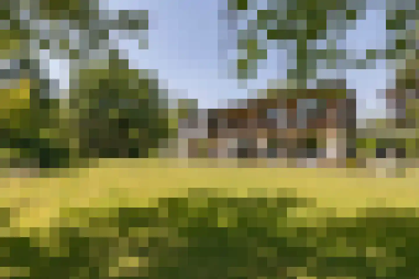 van Rijckevorsellaan 8 Moergestel