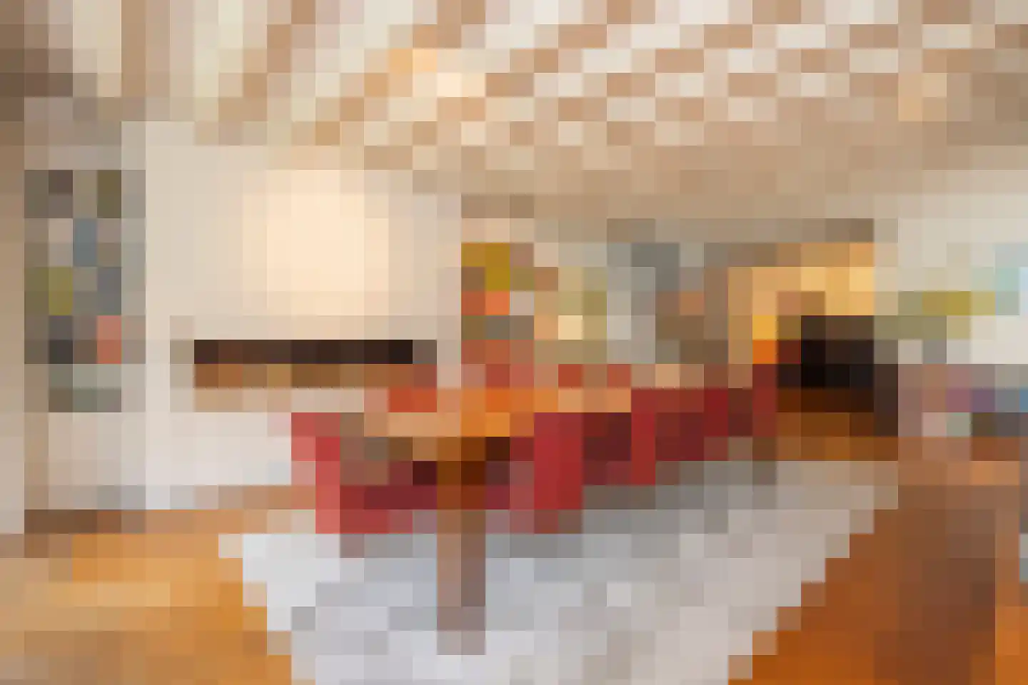 van Rijckevorsellaan 8 Moergestel thumbnail 13