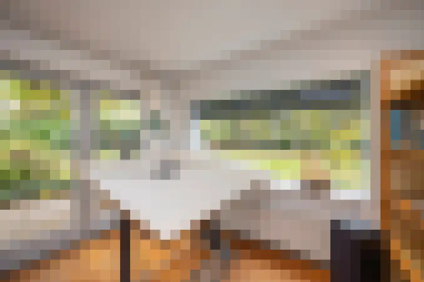 van Rijckevorsellaan 8 Moergestel thumbnail 19