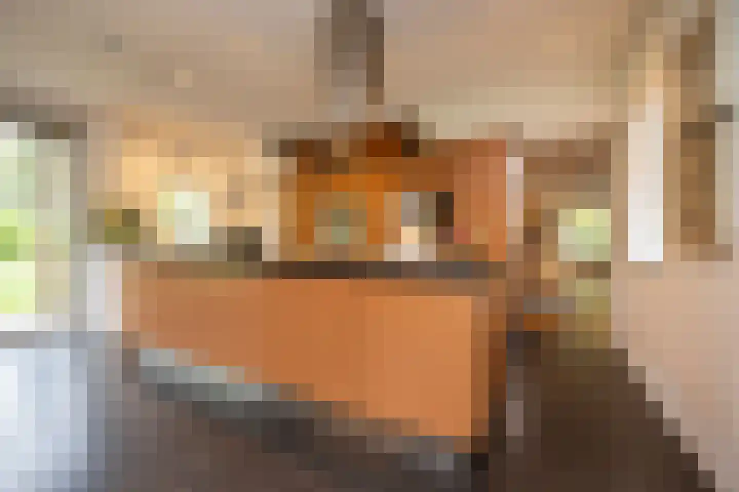 van Rijckevorsellaan 8 Moergestel thumbnail 21