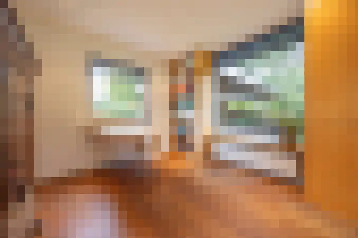 van Rijckevorsellaan 8 Moergestel thumbnail 25