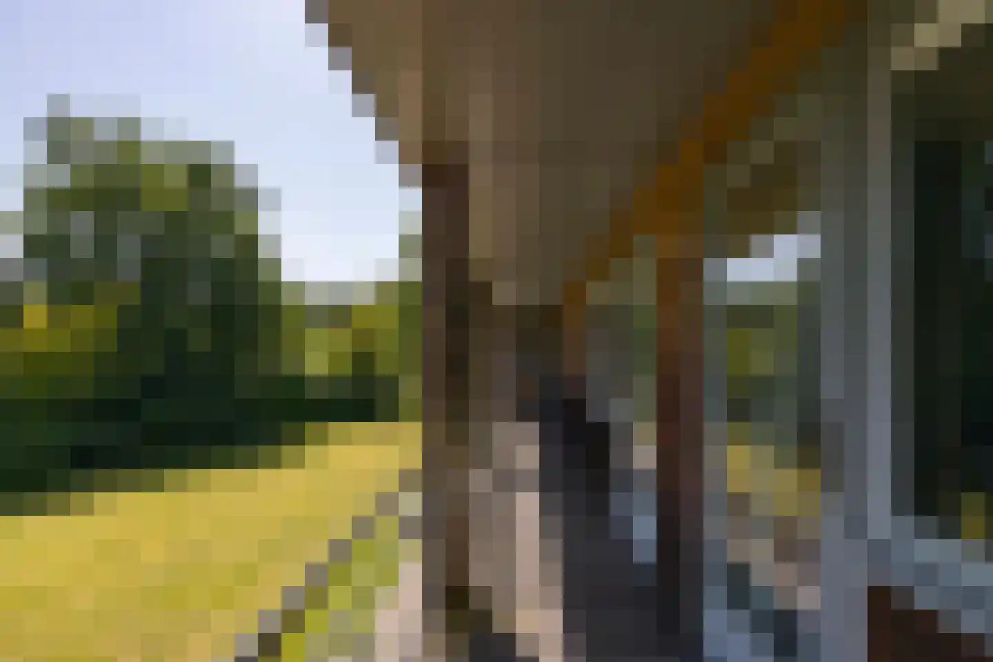 van Rijckevorsellaan 8 Moergestel thumbnail 29