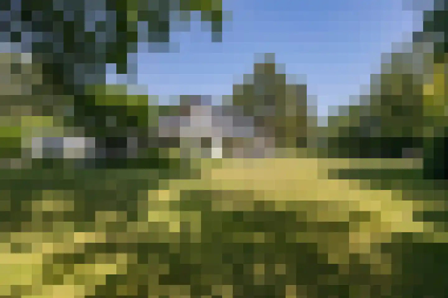 van Rijckevorsellaan 8 Moergestel foto 3