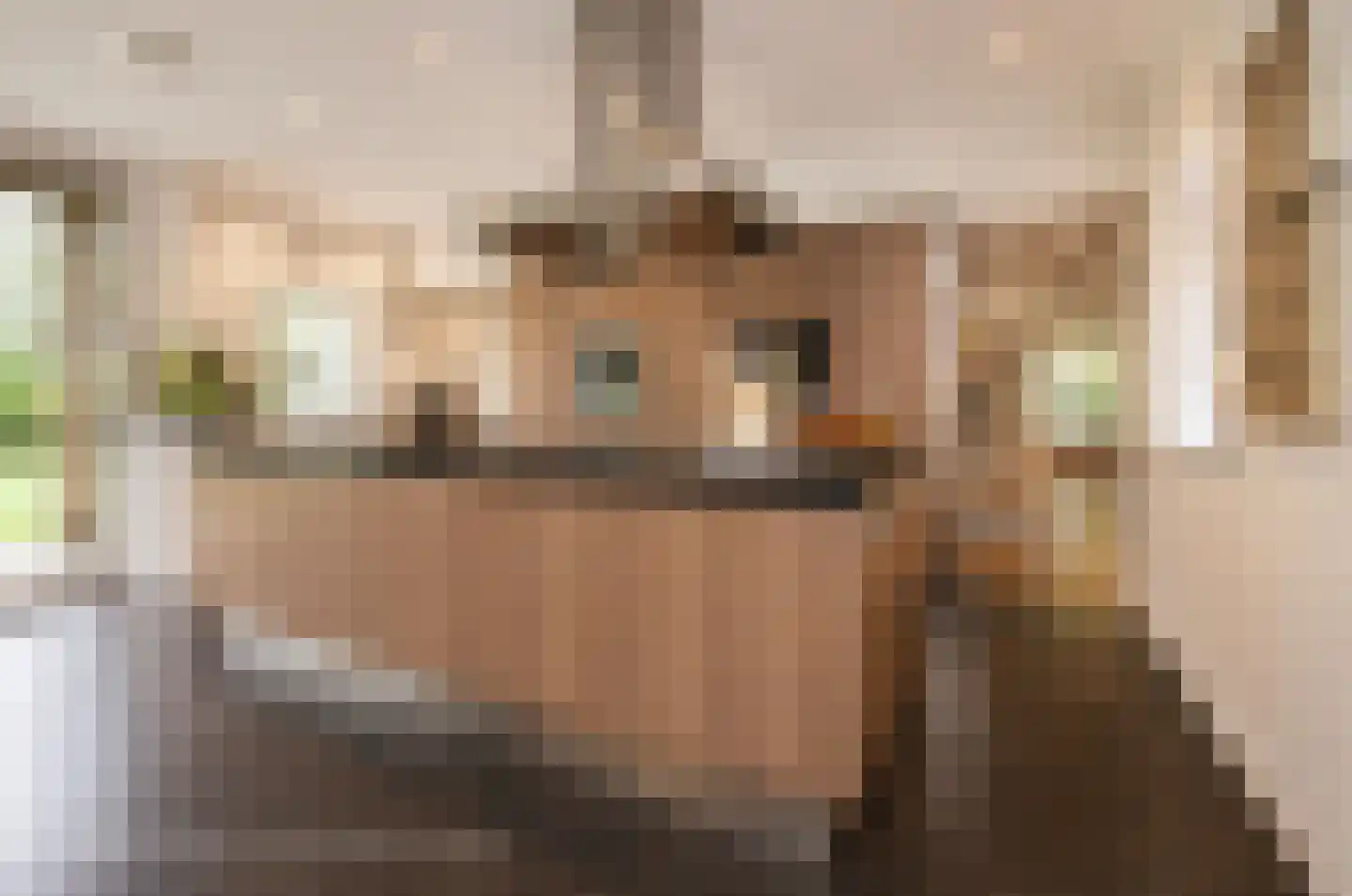 van Rijckevorsellaan 8 Moergestel foto 3