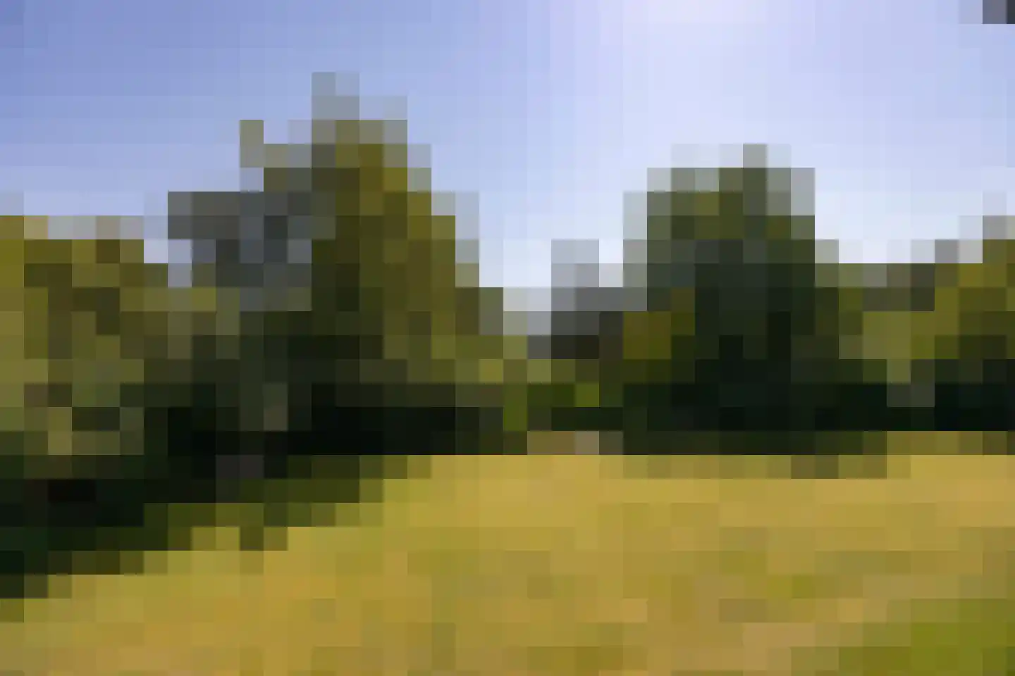 van Rijckevorsellaan 8 Moergestel thumbnail 30