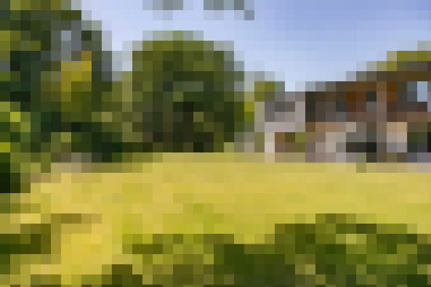 van Rijckevorsellaan 8 Moergestel thumbnail 31