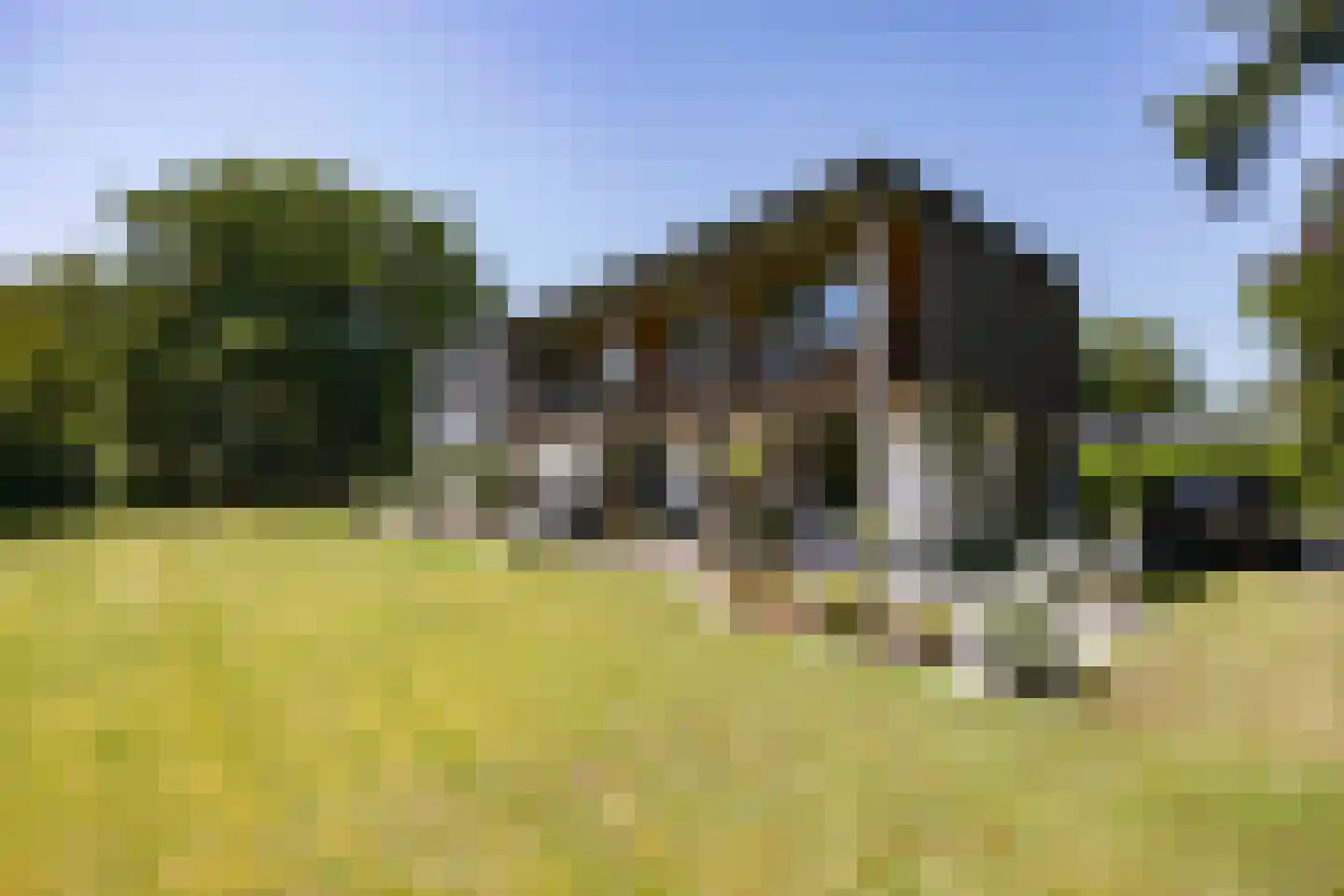 van Rijckevorsellaan 8 Moergestel thumbnail 33