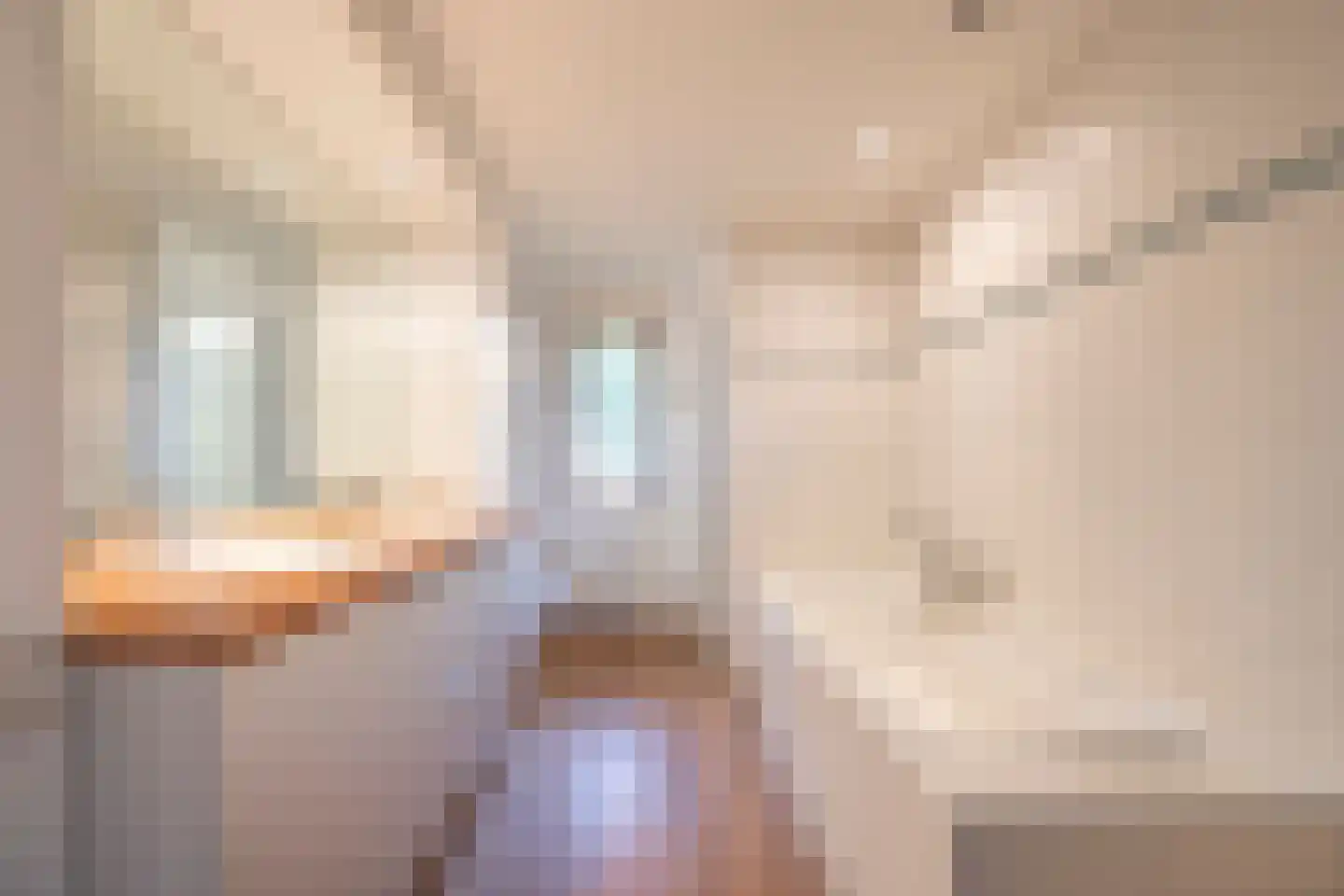 van Rijckevorsellaan 8 Moergestel thumbnail 39