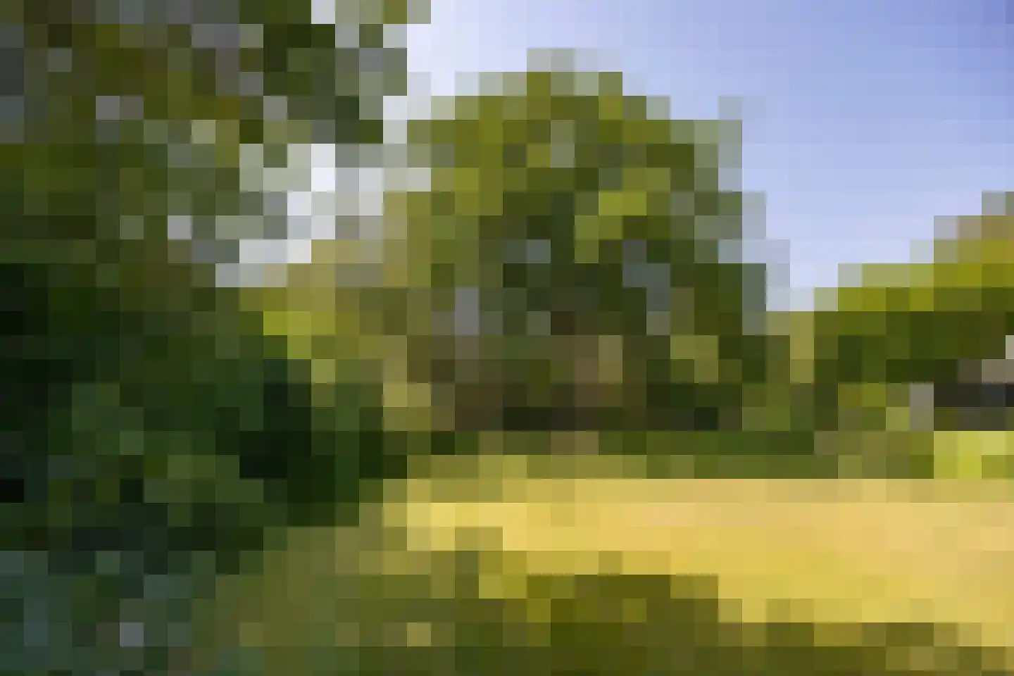 van Rijckevorsellaan 8 Moergestel thumbnail 40