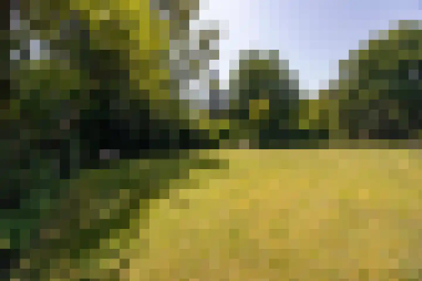 van Rijckevorsellaan 8 Moergestel thumbnail 42